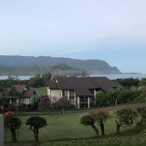 Meet your Posher, Colleen